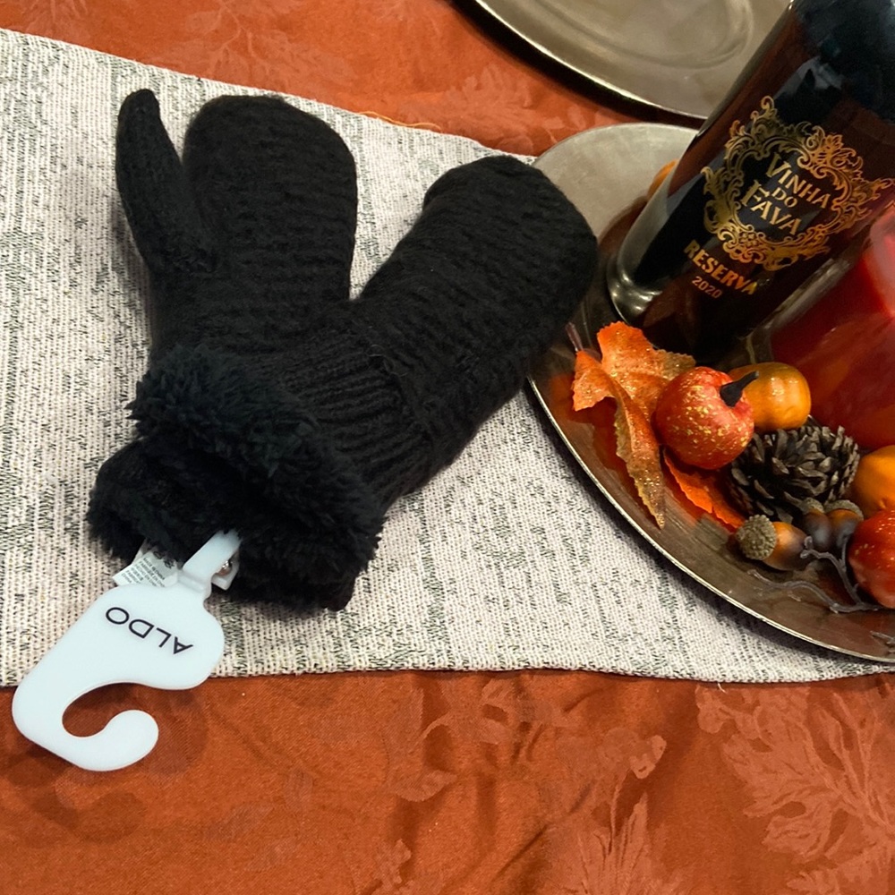 Aldo mittens NWT